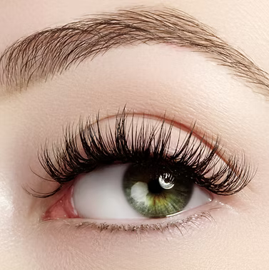 Lash Lift & Tint
