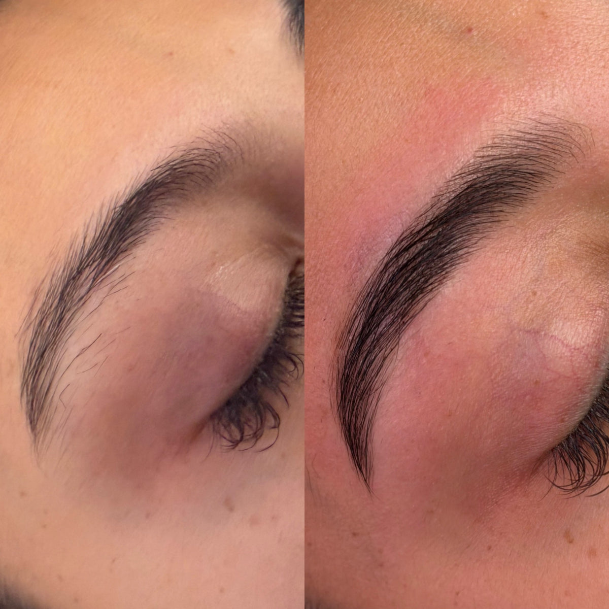 Eyebrow Lamination Wax, and Tint